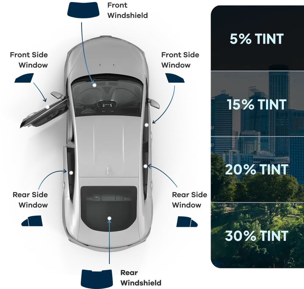 Window Tint Guide